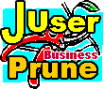 plg_juserprune_business_logo_J16